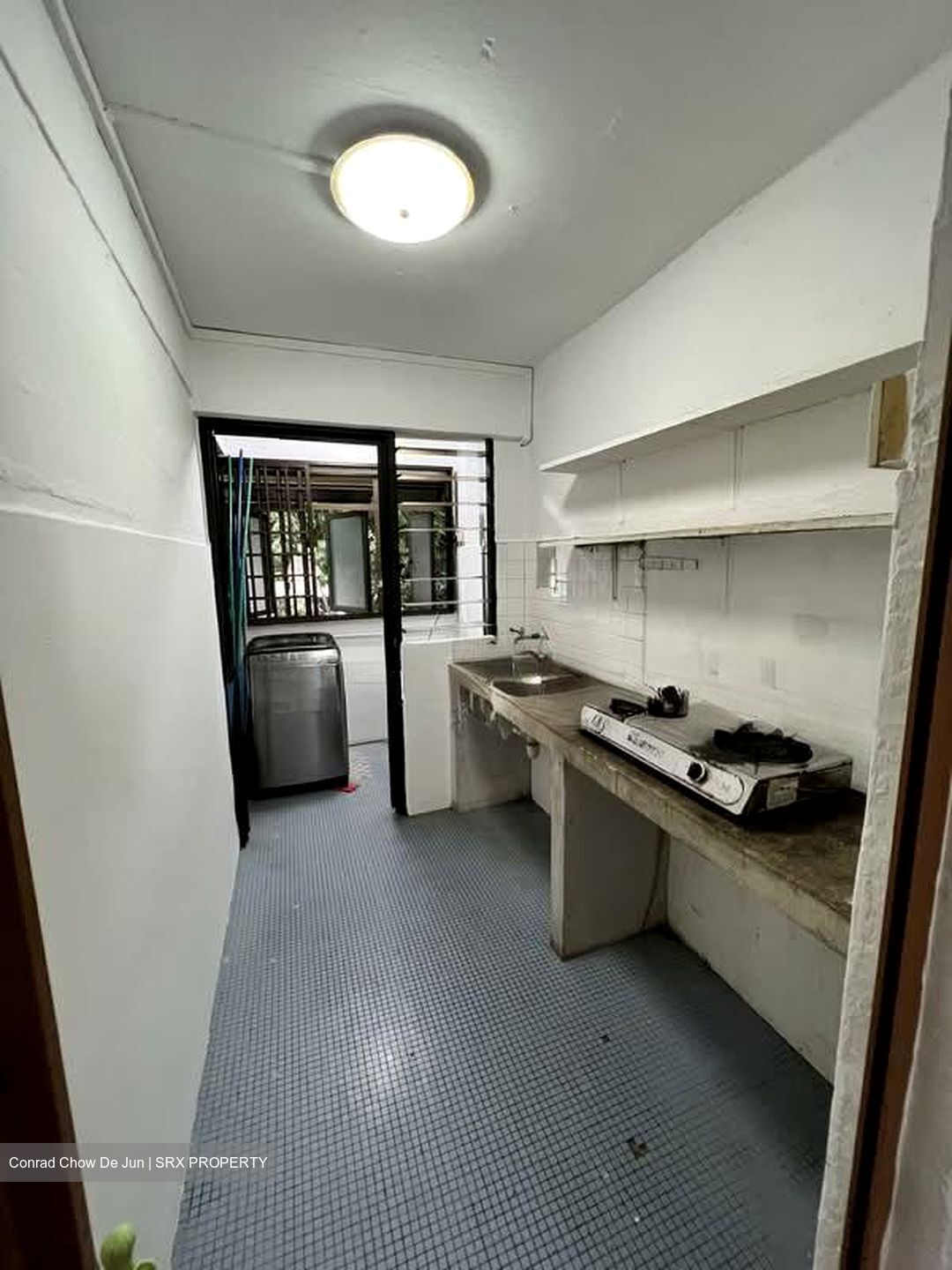 Tiong Bahru Orchid (D3), Shop House #546738831